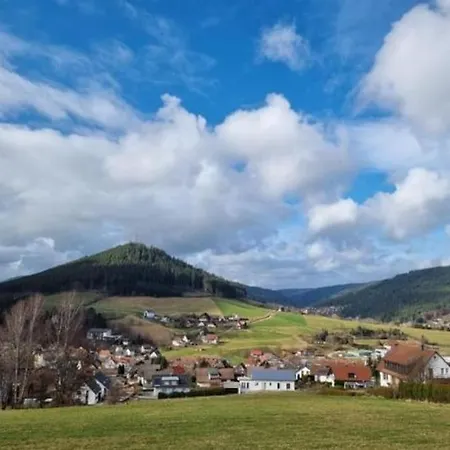 Fewo Mit Pool In Baiersbronn Buitenkant foto