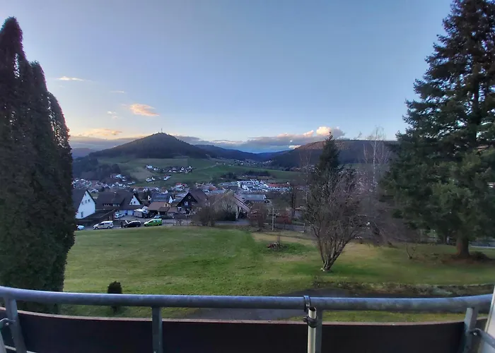 Fewo Mit Pool In Baiersbronn